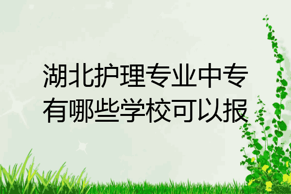 湖北护理专业中专有哪些学校可以报