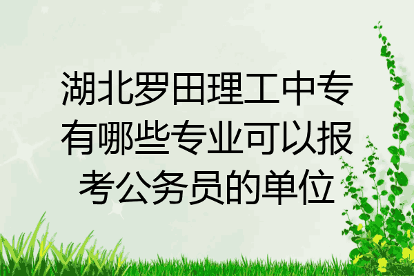 湖北罗田理工中专有哪些专业可以报考公务员的单位