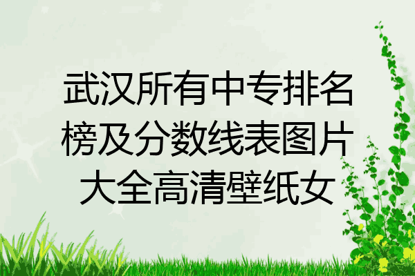 武汉所有中专排名榜及分数线表图片大全高清壁纸女