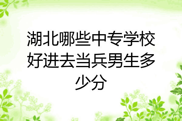 湖北哪些中专学校好进去当兵男生多少分