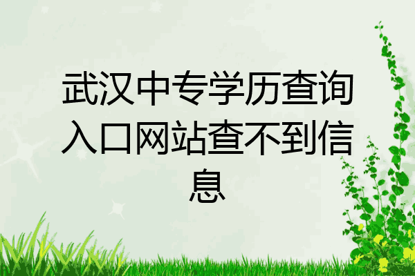 武汉中专学历查询入口网站查不到信息