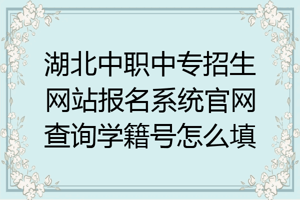 湖北中职中专招生网站报名系统官网查询学籍号怎么填
