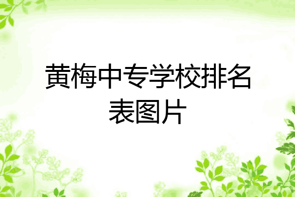 黄梅中专学校排名表图片