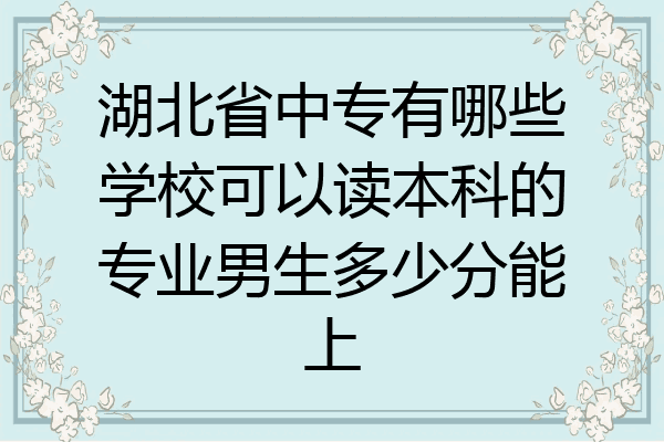 湖北省中专有哪些学校可以读本科的专业男生多少分能上