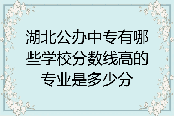 湖北公办中专有哪些学校分数线高的专业是多少分