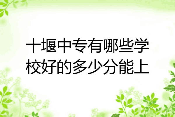 十堰中专有哪些学校好的多少分能上