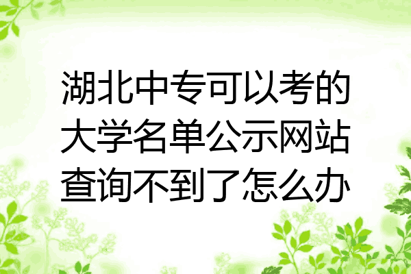 湖北中专可以考的大学名单公示网站查询不到了怎么办