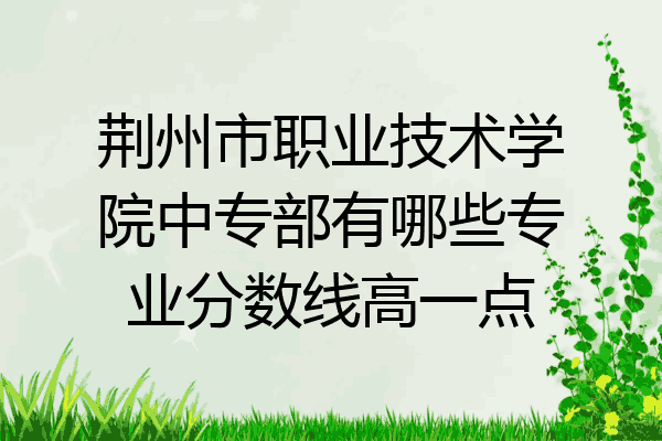 荆州市职业技术学院中专部有哪些专业分数线高一点