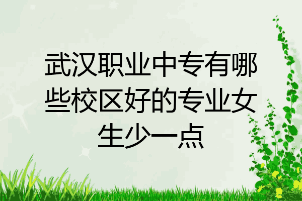 武汉职业中专有哪些校区好的专业女生少一点