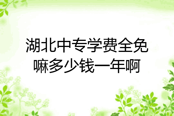 湖北中专学费全免嘛多少钱一年啊