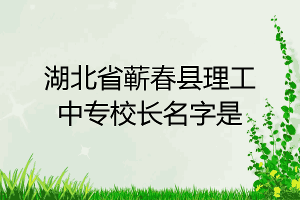 湖北省蕲春县理工中专校长名字是