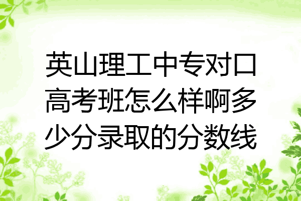 英山理工中专对口高考班怎么样啊多少分录取的分数线
