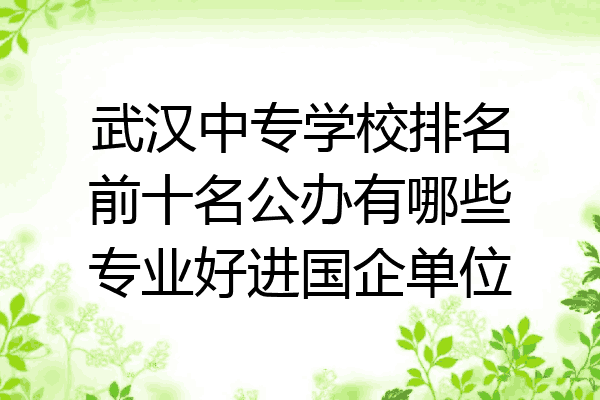 武汉中专学校排名前十名公办有哪些专业好进国企单位