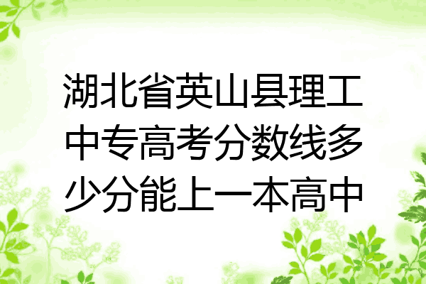 湖北省英山县理工中专高考分数线多少分能上一本高中