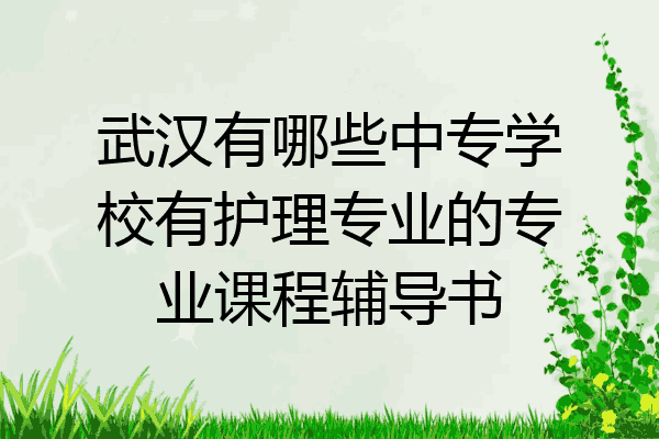 武汉有哪些中专学校有护理专业的专业课程辅导书