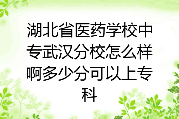 湖北省医药学校中专武汉分校怎么样啊多少分可以上专科