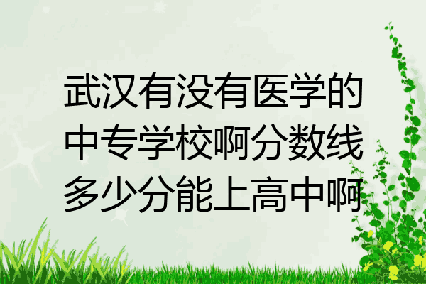 武汉有没有医学的中专学校啊分数线多少分能上高中啊