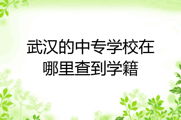 武汉的中专学校在哪里查到学籍