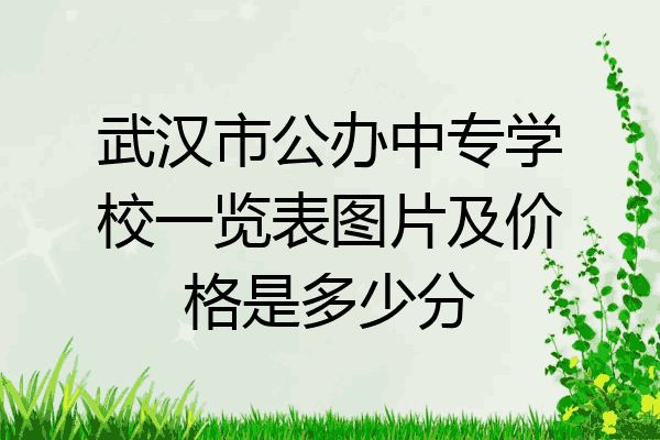 武汉市公办中专学校一览表图片及价格是多少分
