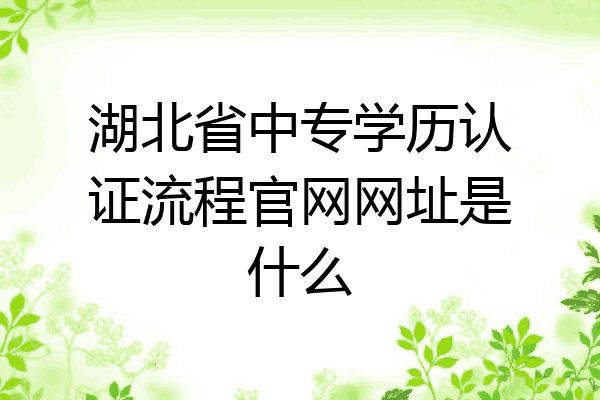 湖北省中专学历认证流程官网网址是什么