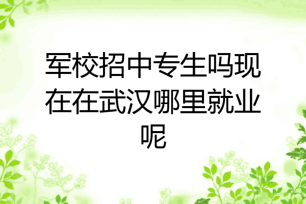 军校招中专生吗现在在武汉哪里就业呢