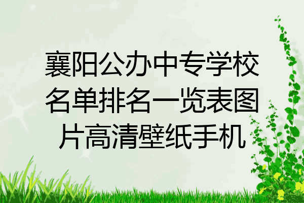 襄阳公办中专学校名单排名一览表图片高清壁纸手机