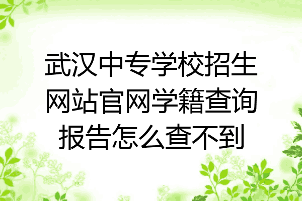 武汉中专学校招生网站官网学籍查询报告怎么查不到