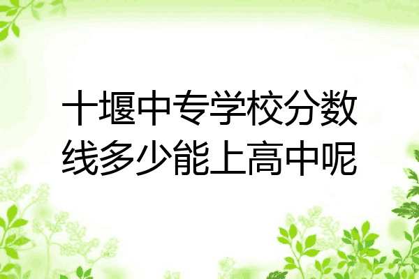 十堰中专学校分数线多少能上高中呢