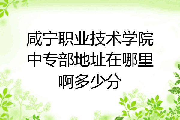 咸宁职业技术学院中专部地址在哪里啊多少分