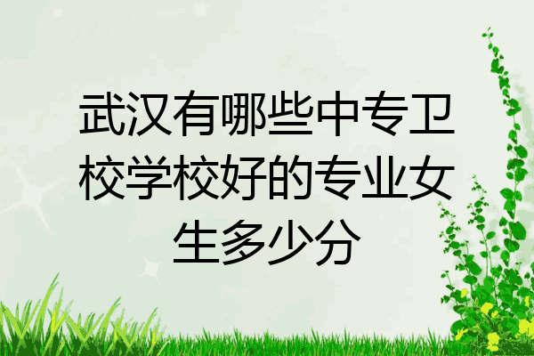 武汉有哪些中专卫校学校好的专业女生多少分