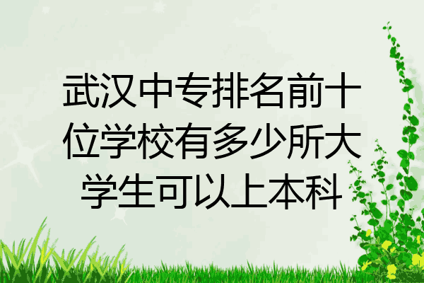 武汉中专排名前十位学校有多少所大学生可以上本科