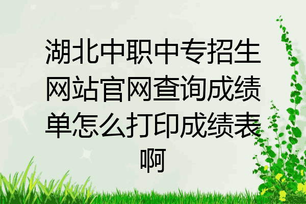 湖北中职中专招生网站官网查询成绩单怎么打印成绩表啊