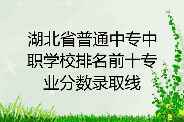 湖北省普通中专中职学校排名前十专业分数录取线