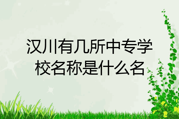 汉川有几所中专学校名称是什么名