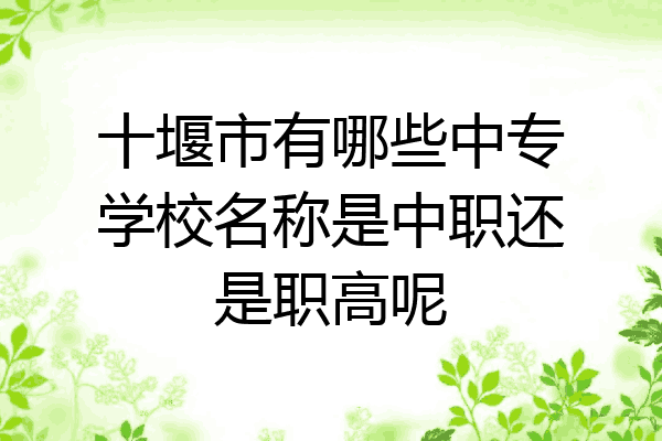 十堰市有哪些中专学校名称是中职还是职高呢