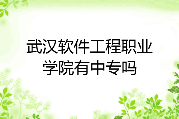 武汉软件工程职业学院有中专吗