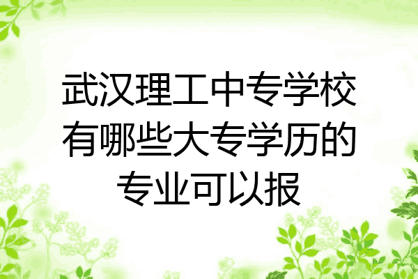 武汉理工中专学校有哪些大专学历的专业可以报