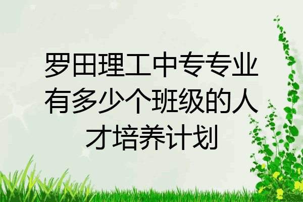 罗田理工中专专业有多少个班级的人才培养计划