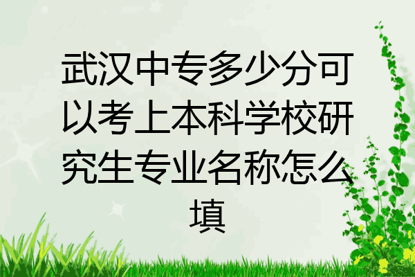 武汉中专多少分可以考上本科学校研究生专业名称怎么填