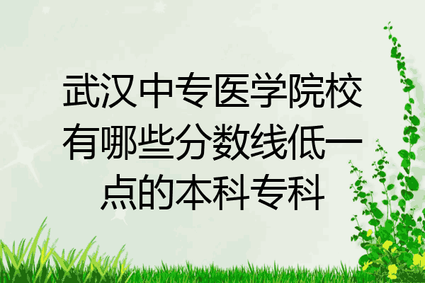 武汉中专医学院校有哪些分数线低一点的本科专科