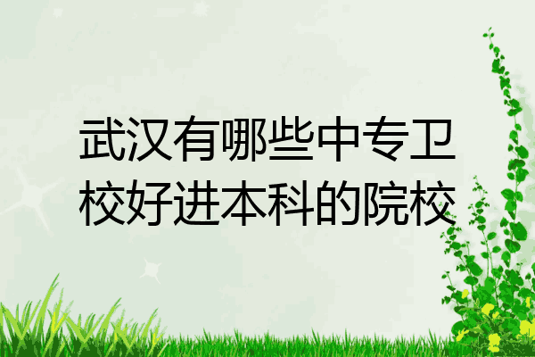 武汉有哪些中专卫校好进本科的院校
