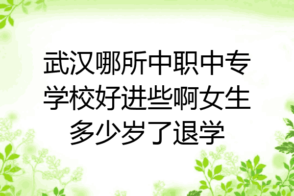武汉哪所中职中专学校好进些啊女生多少岁了退学