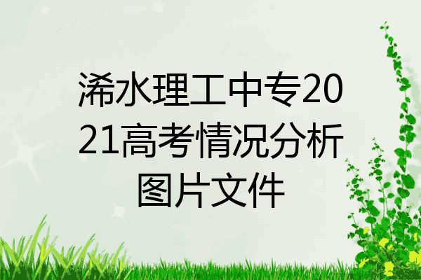 浠水理工中专2021高考情况分析图片文件