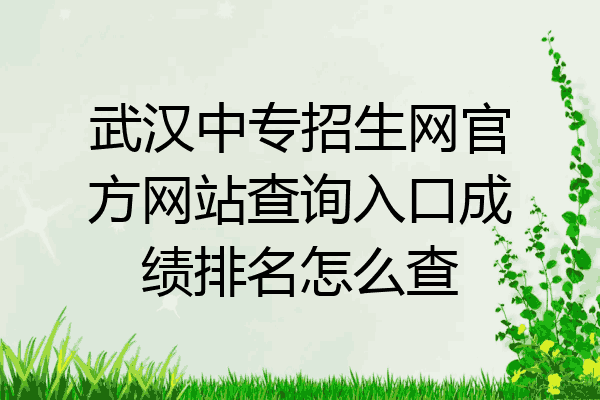 武汉中专招生网官方网站查询入口成绩排名怎么查