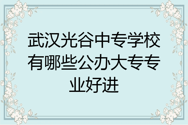 武汉光谷中专学校有哪些公办大专专业好进
