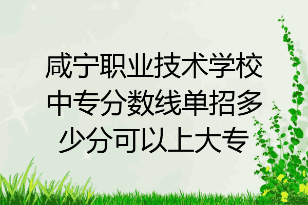 咸宁职业技术学校中专分数线单招多少分可以上大专