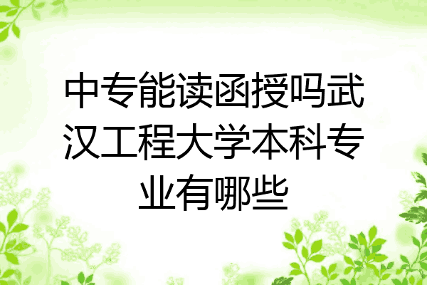 中专能读函授吗武汉工程大学本科专业有哪些