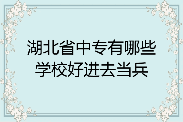 湖北省中专有哪些学校好进去当兵