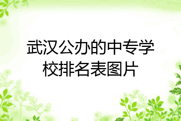 武汉公办的中专学校排名表图片