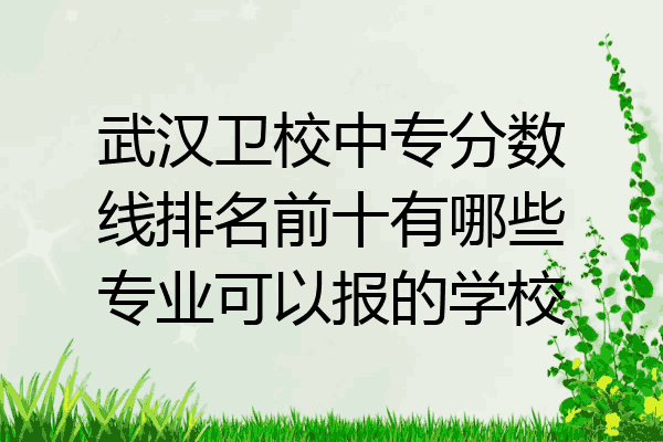 武汉卫校中专分数线排名前十有哪些专业可以报的学校